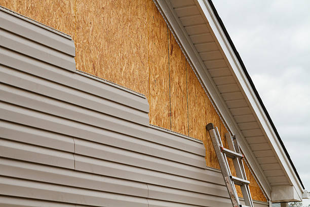 Professional Siding Installation technician working in Lake City, MN